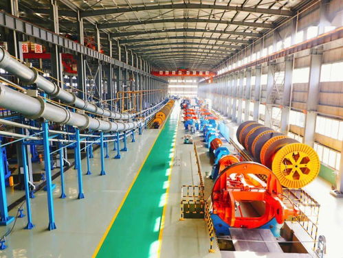 冠军实力铸就国家级荣誉 梅州软件开发产业的崛起与展望